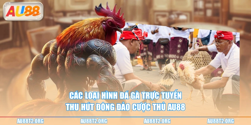 Các loại hình đá gà trực tuyến thu hút đông đảo cược thủ AU88