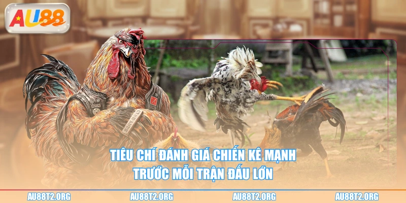 Tiêu chí đánh giá chiến kê mạnh trước mỗi trận đấu lớn